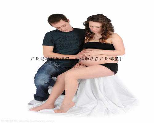广州助孕孩子流程，添禧助孕在广州哪里？