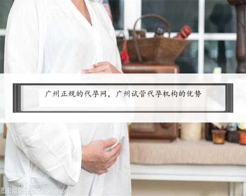广州正规的代孕网，广州试管代孕机构的优势