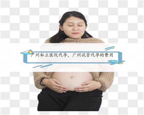 广州私立医院代孕，广州试管代孕的费用