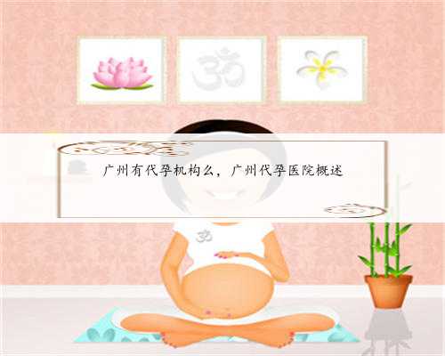 广州有代孕机构么，广州代孕医院概述