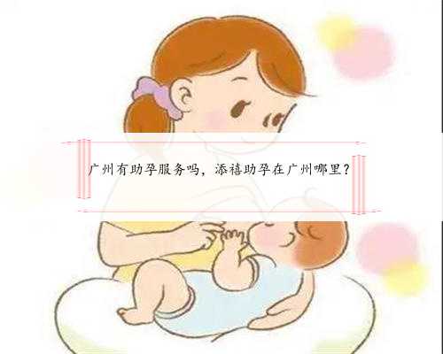 广州有助孕服务吗，添禧助孕在广州哪里？