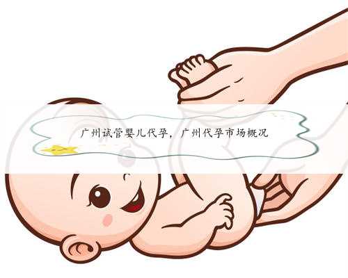 广州试管婴儿代孕，广州代孕市场概况