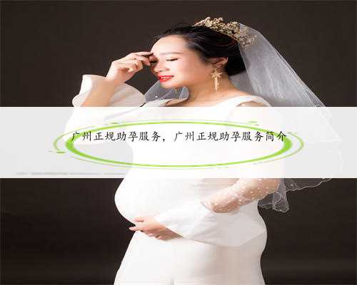 广州正规助孕服务，广州正规助孕服务简介