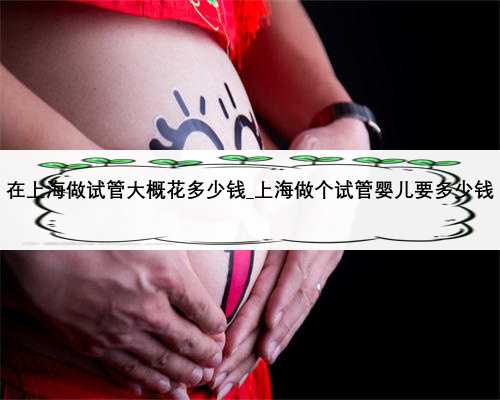 在上海做试管大概花多少钱_上海做个试管婴儿要多少钱